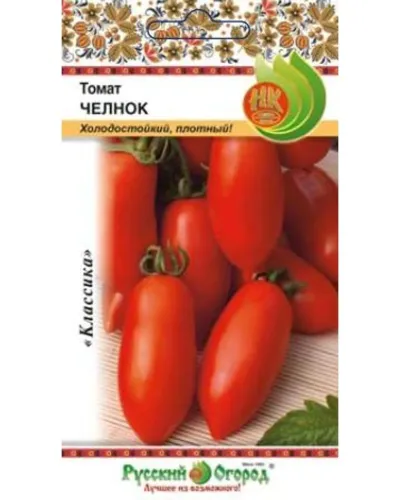 Томат Алтайская заря