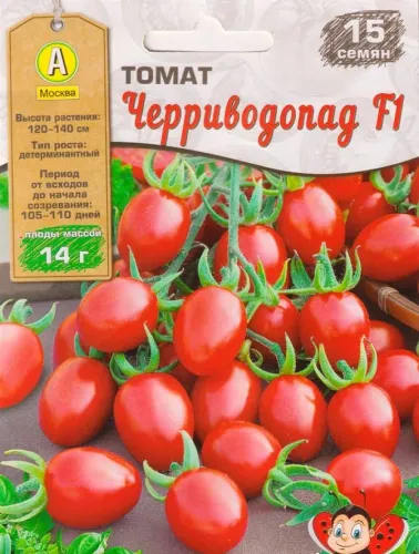 Томат Чико-Рико