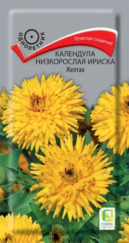 Календула Ириска Желтая низ.