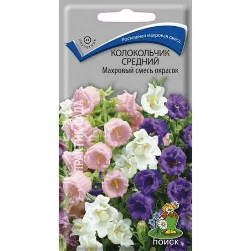 Колокольчик Махровый Смесь окрасок средний