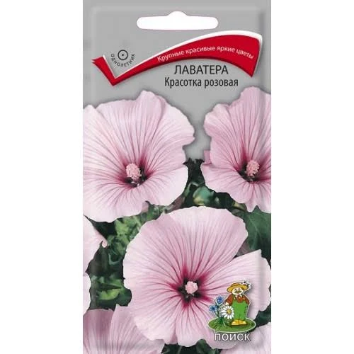 Лаватера Красотка розовая