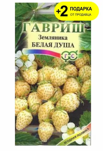 Земляника Белая душа