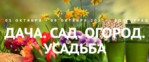 Контейнер д/хранения 41х27х16,5 см пластик м425