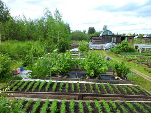 Горшок для рассады 0,77л круглый