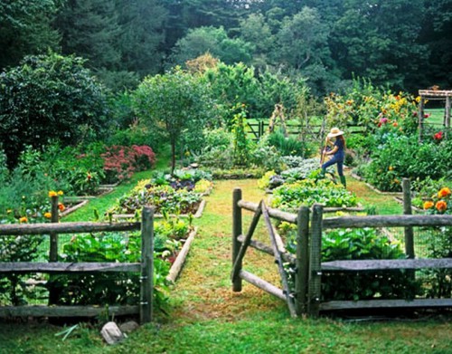 Жаровня для овощей, морепродуктов, грибов 51,5*30*4см"Твой пикник" п7826