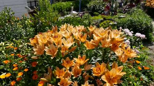 Жидкость ДЕВОН-ЗИМА д/автономных туалетов 5л